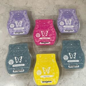 Scentsy Bundle - Tahitian Twilight, Aloha Orchid, Blue Coconut Beach, Soakin Ray